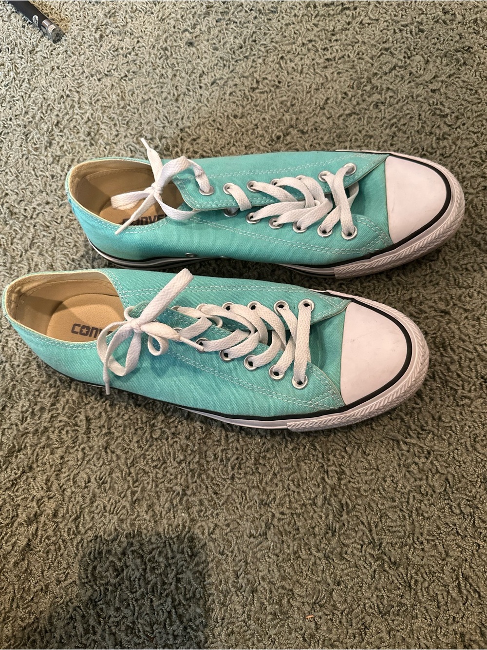 Converse Low Top Canvas Sneakers - Turquoise